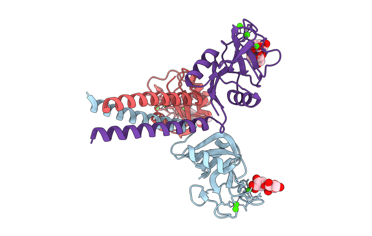 1KX0 image