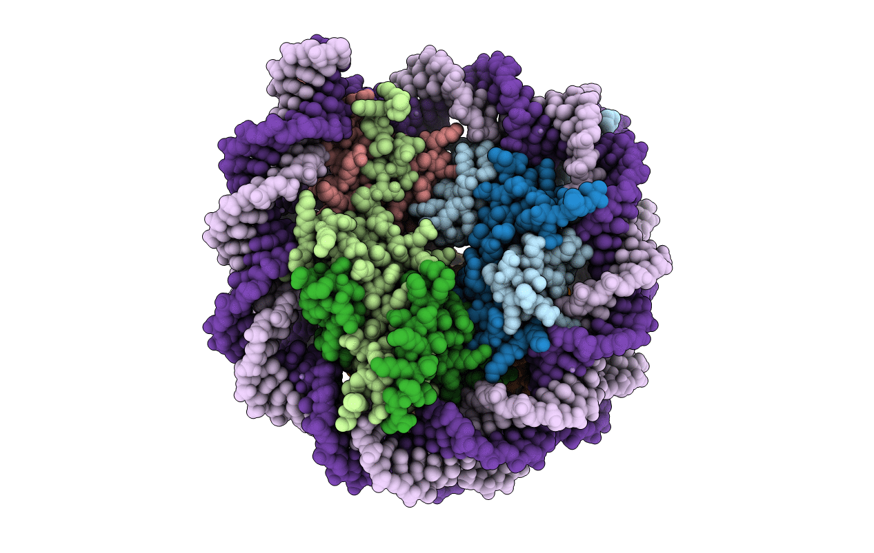 1KX3 image