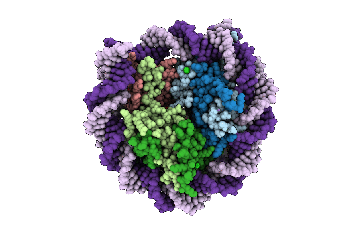 1KX4 image