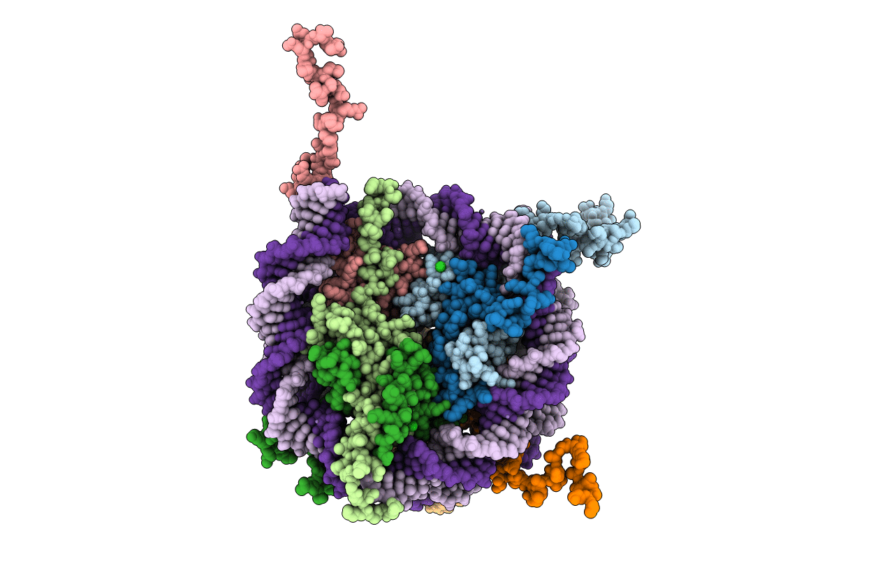1KX5 image