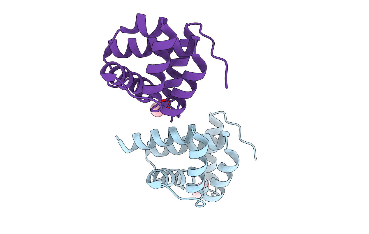 1KX9 image