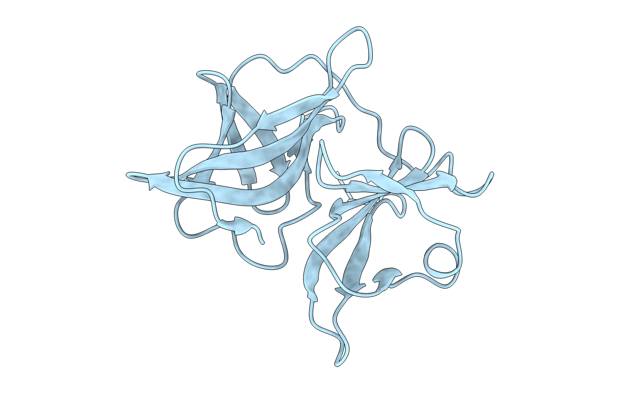 1KXF image