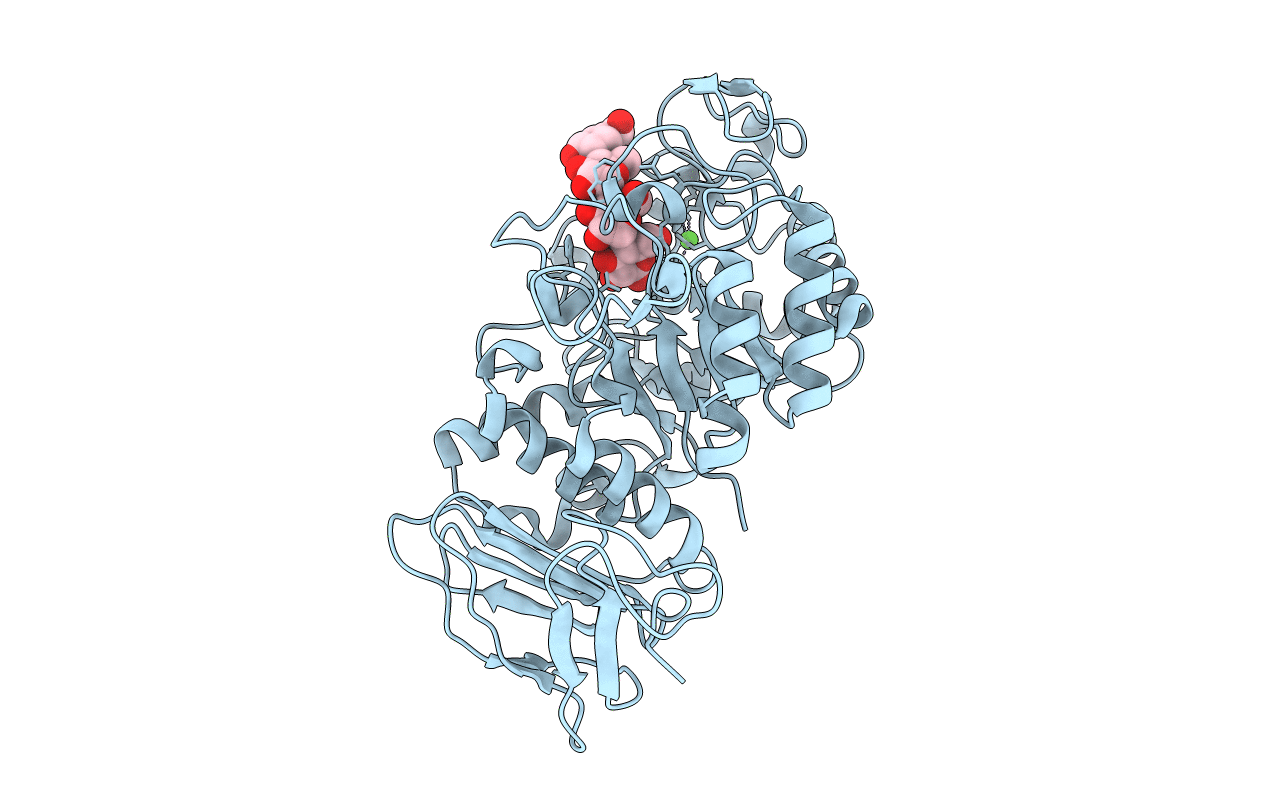 1KXH image