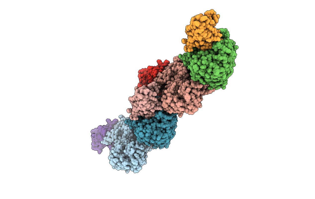 1KXQ image