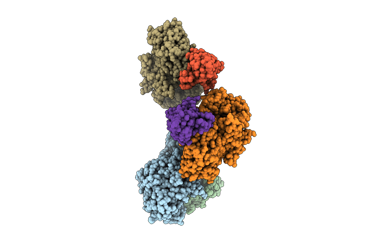 1kxt image