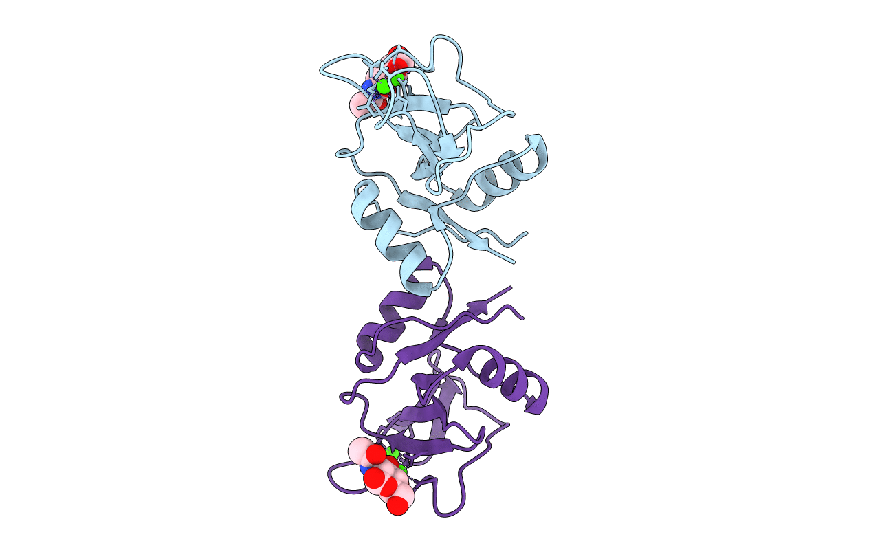 1KZD image