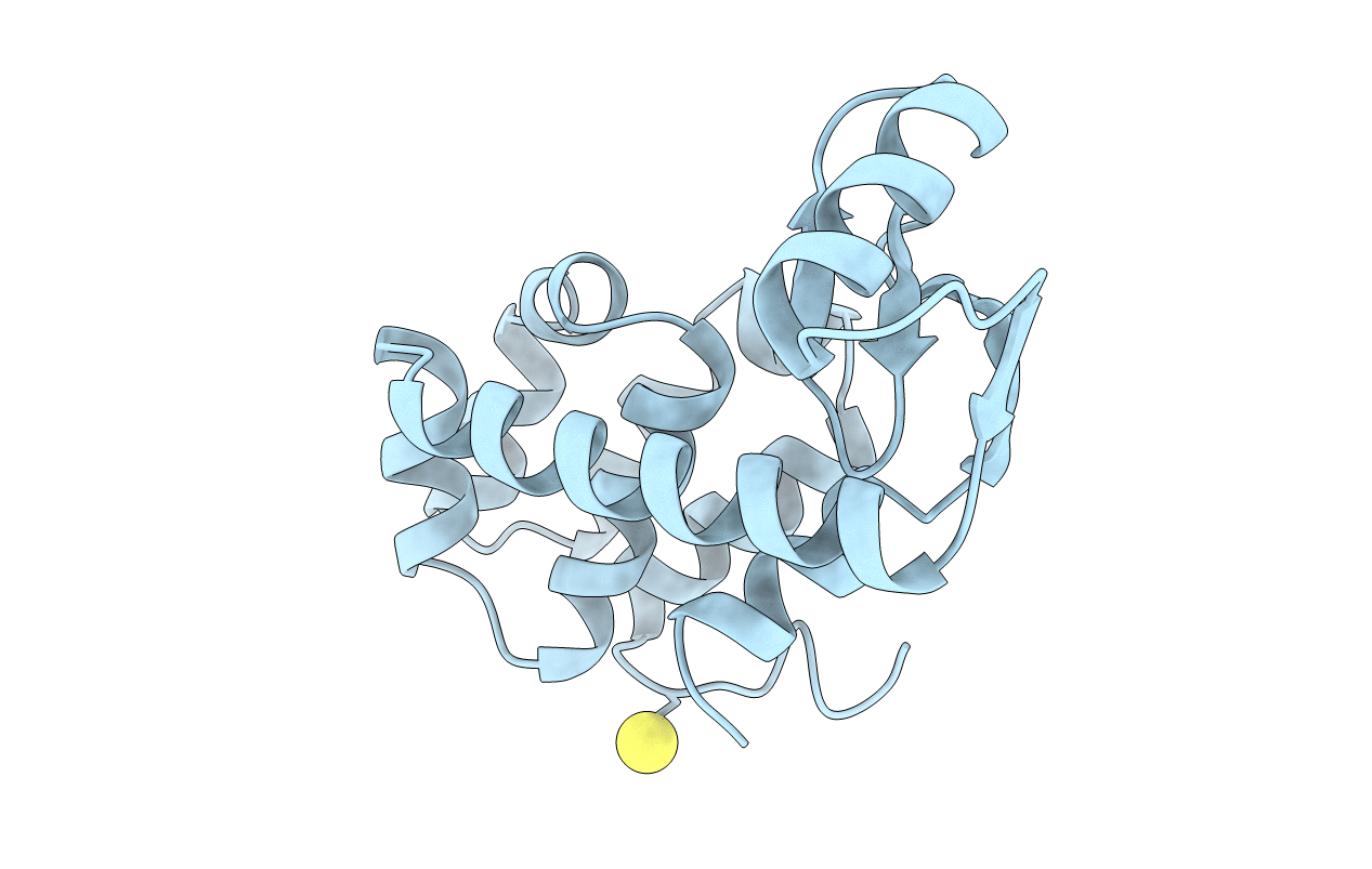 1L03 image