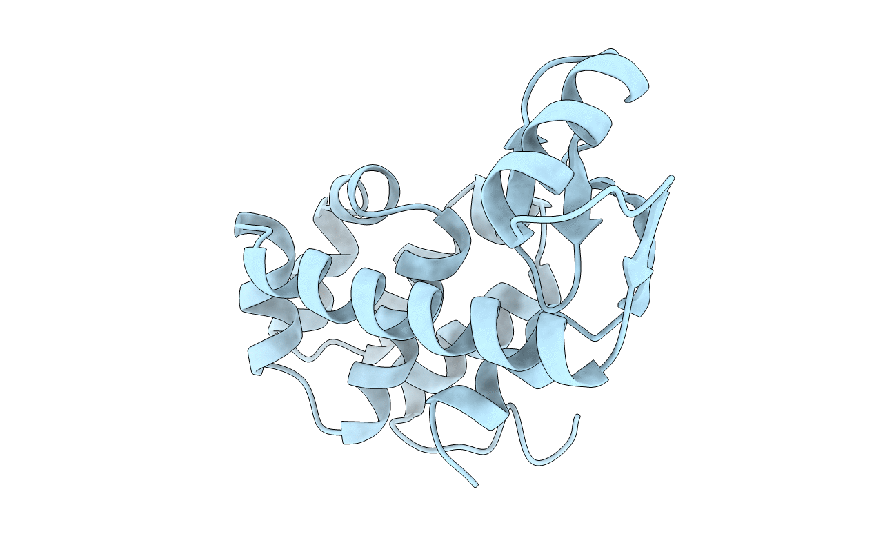 1L04 image