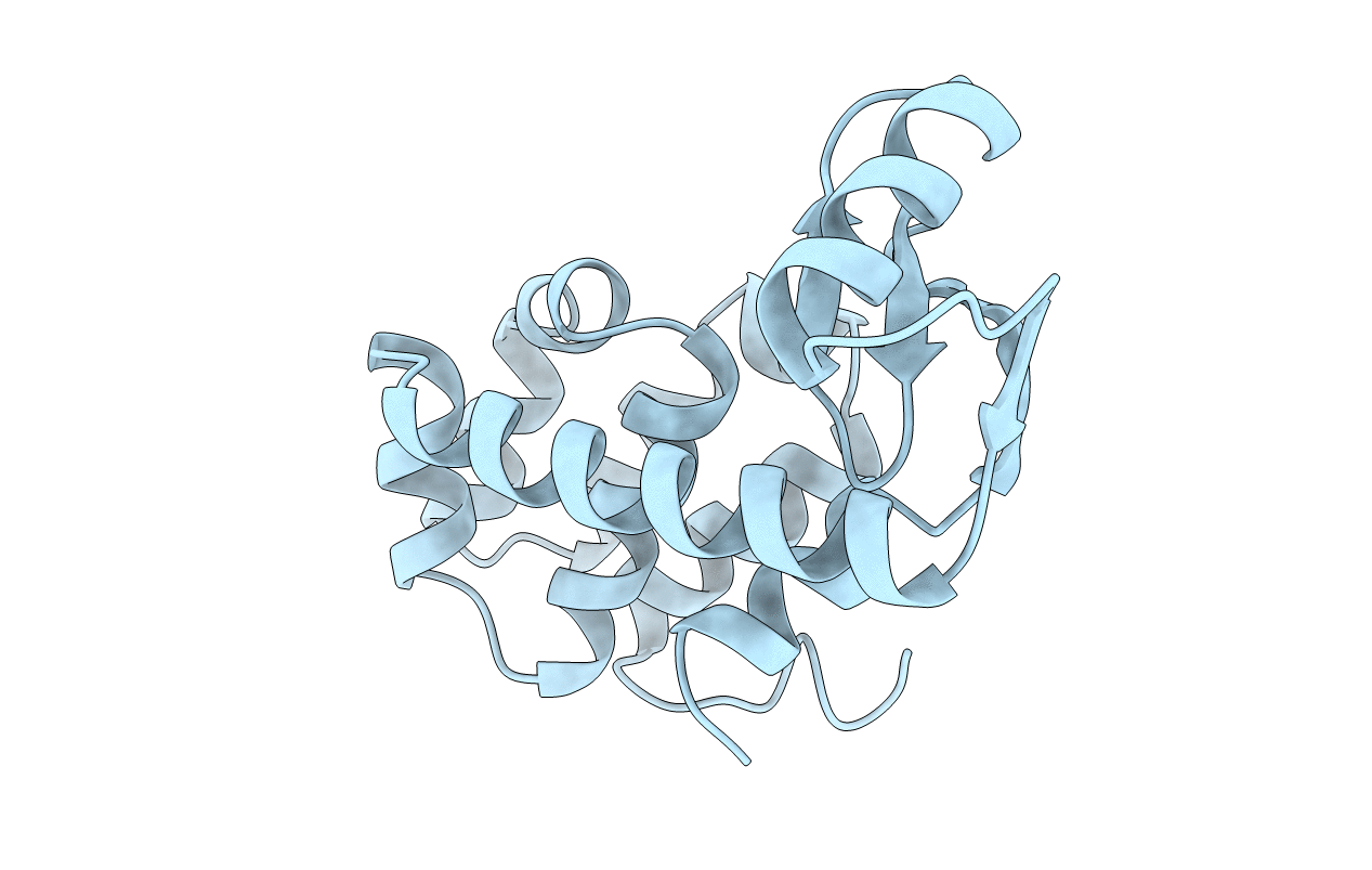 1L05 image