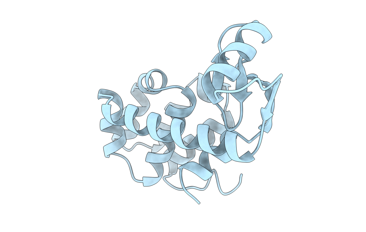 1L07 image
