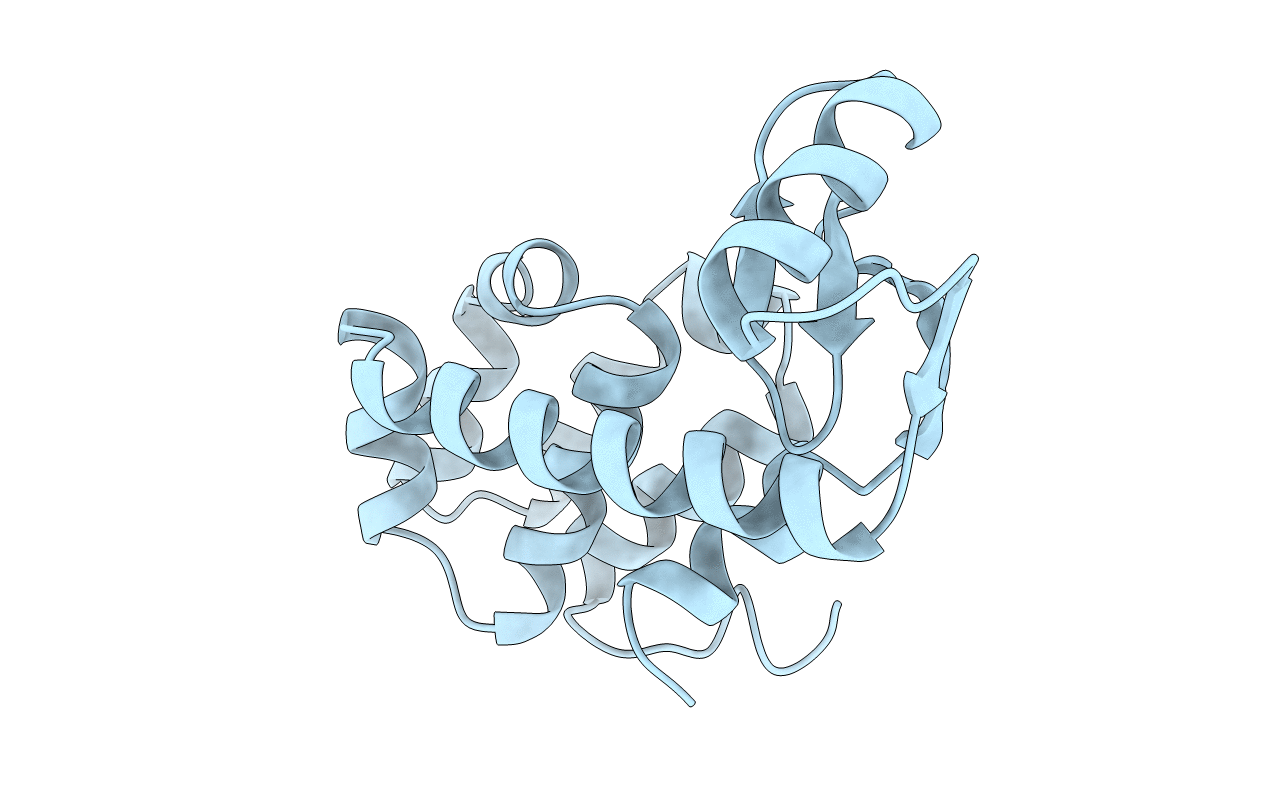 1L09 image