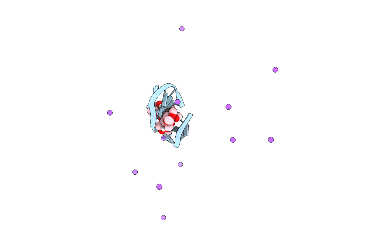 1L0R image