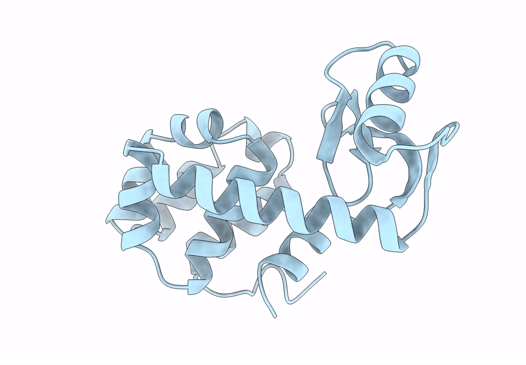 1L19 image