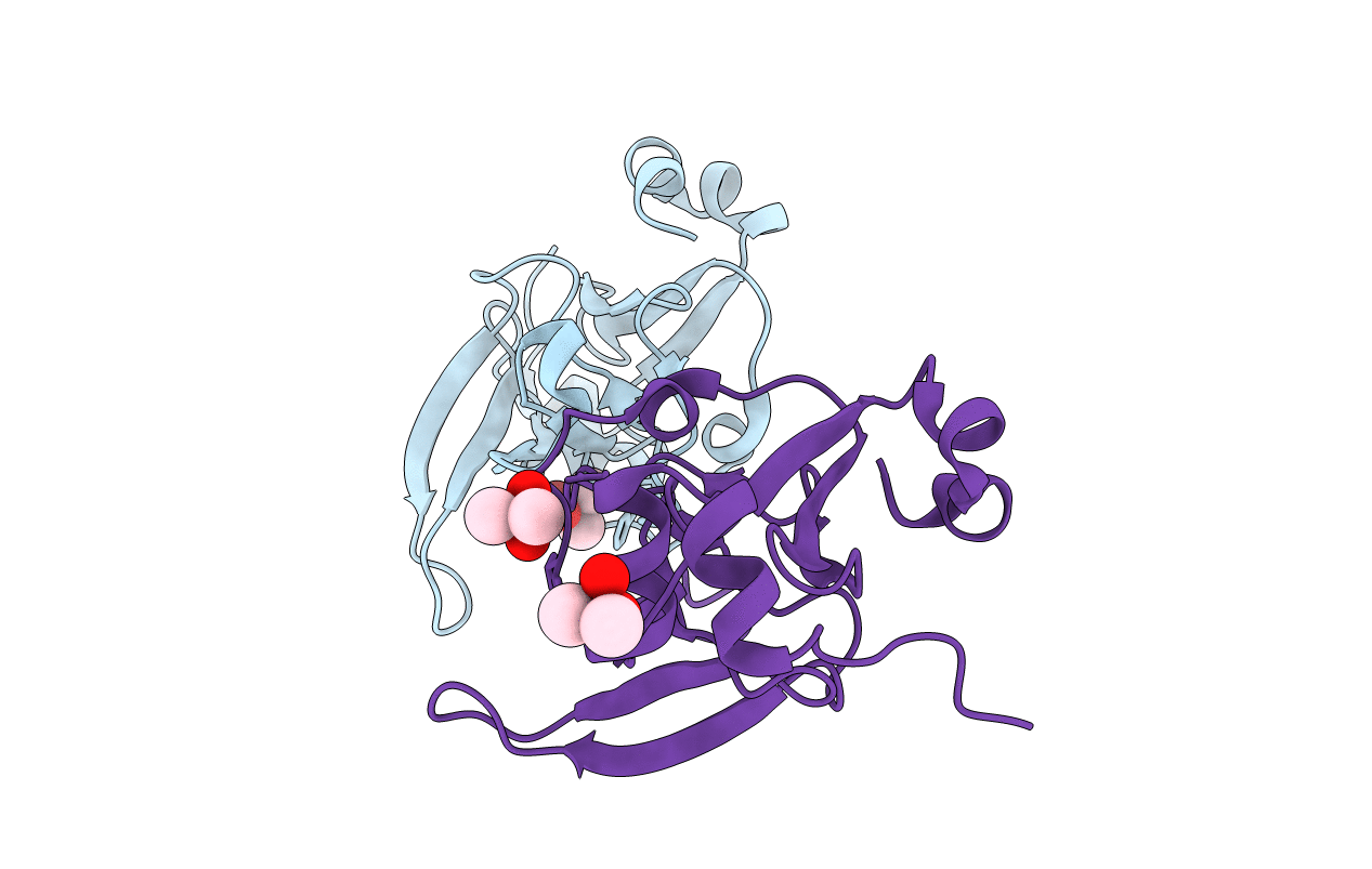 1L1D image