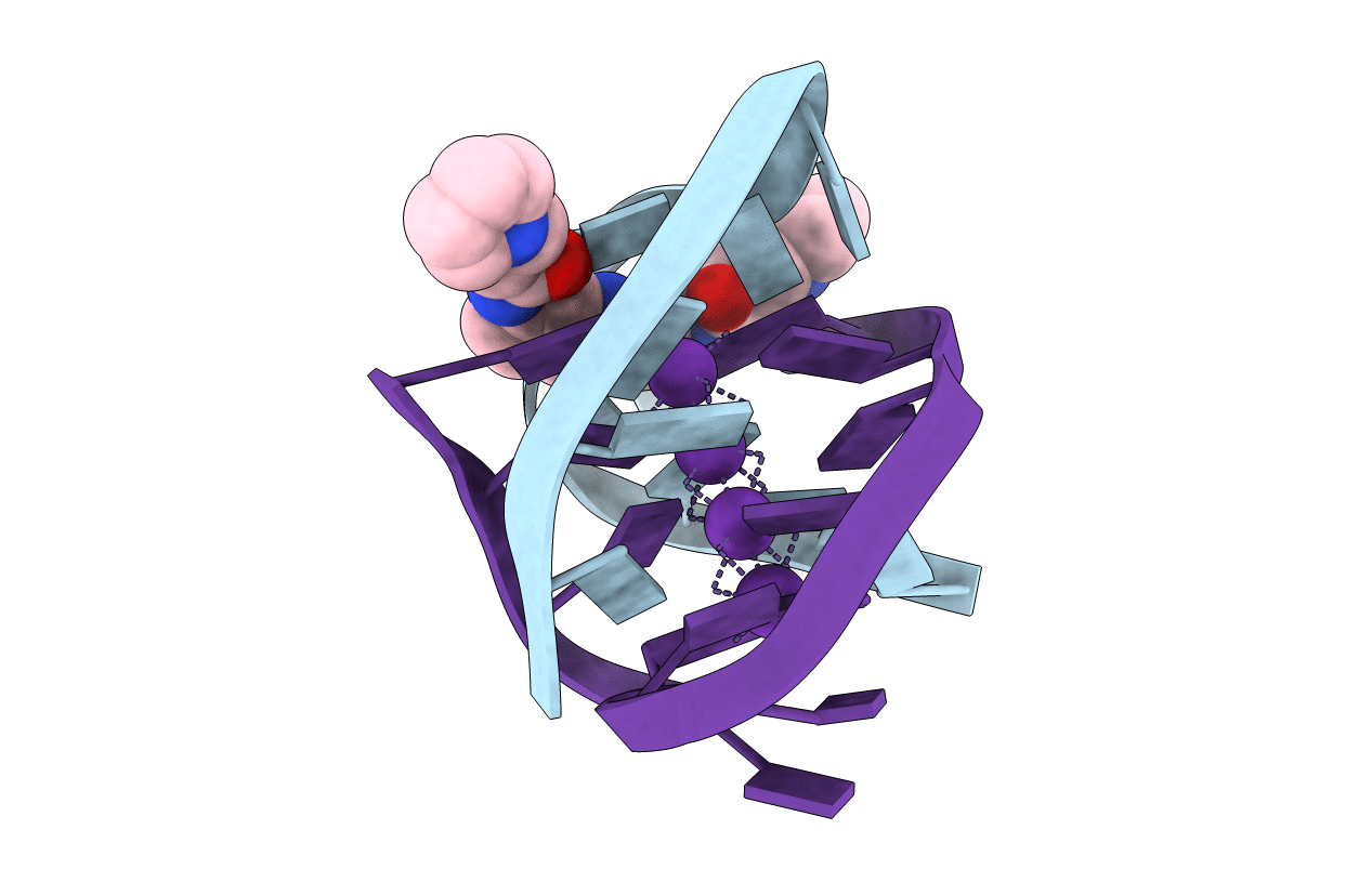 1L1H image