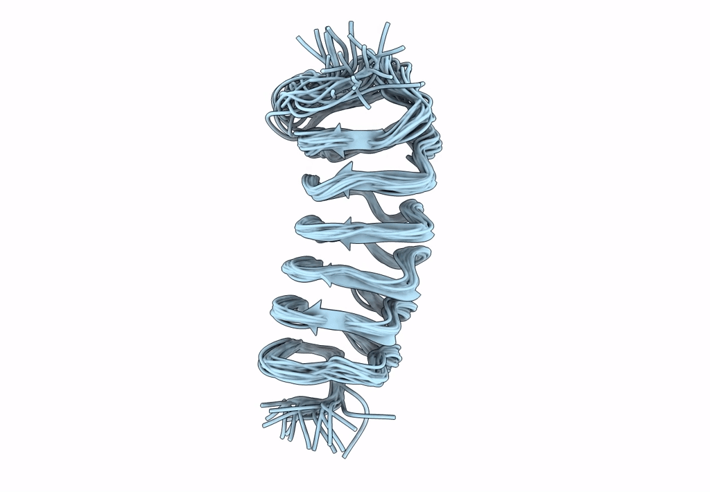 1L1I image
