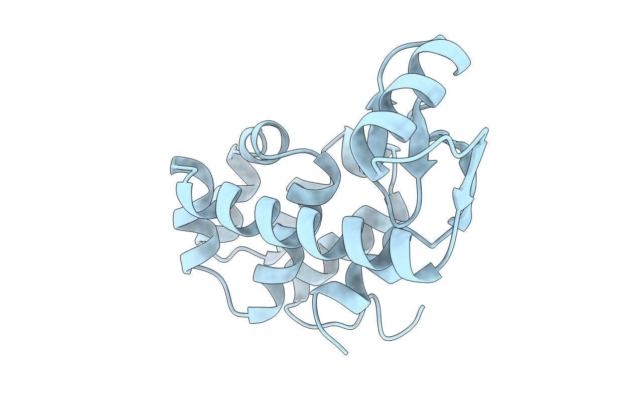 1L20 image