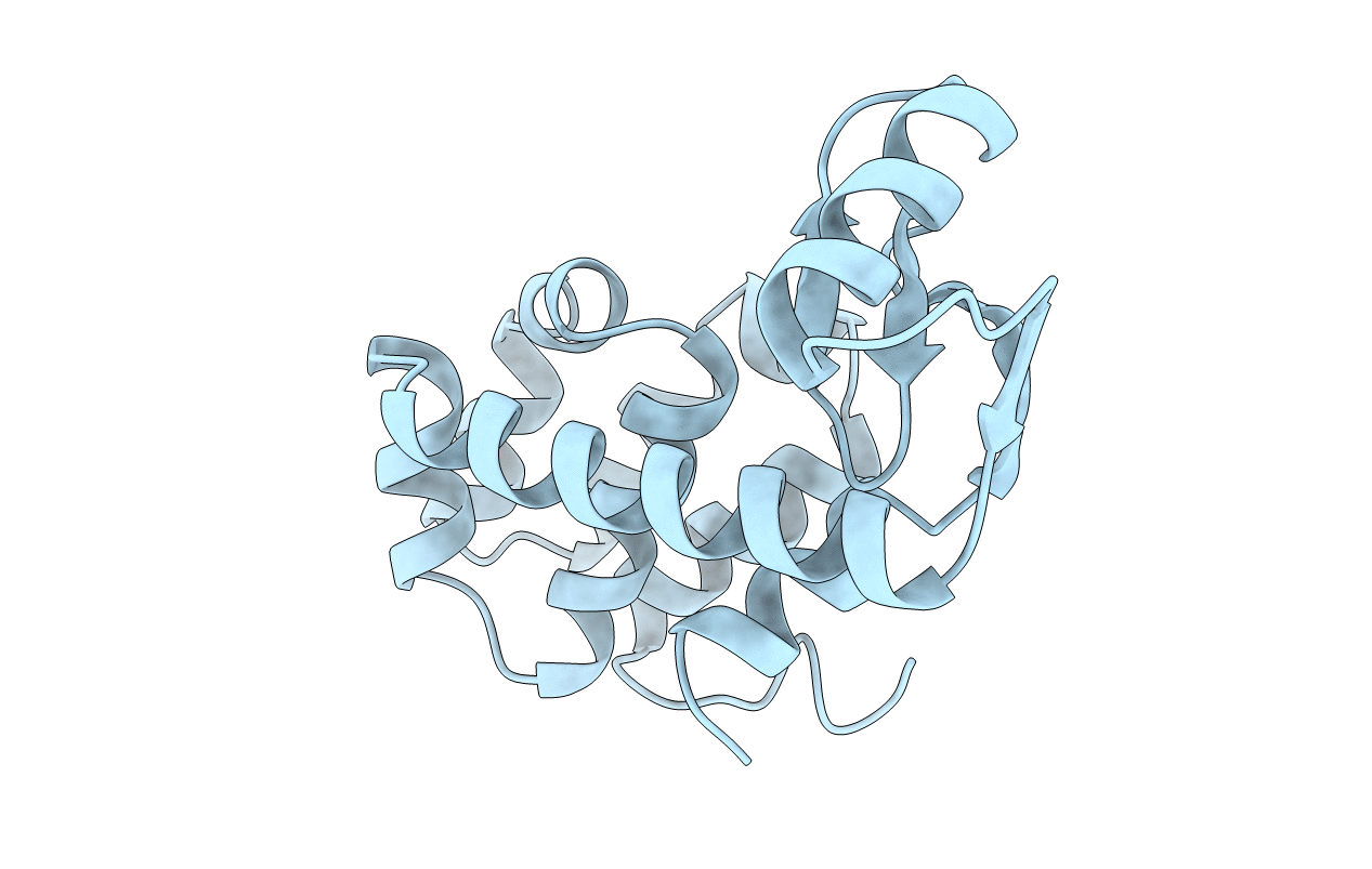 1L24 image
