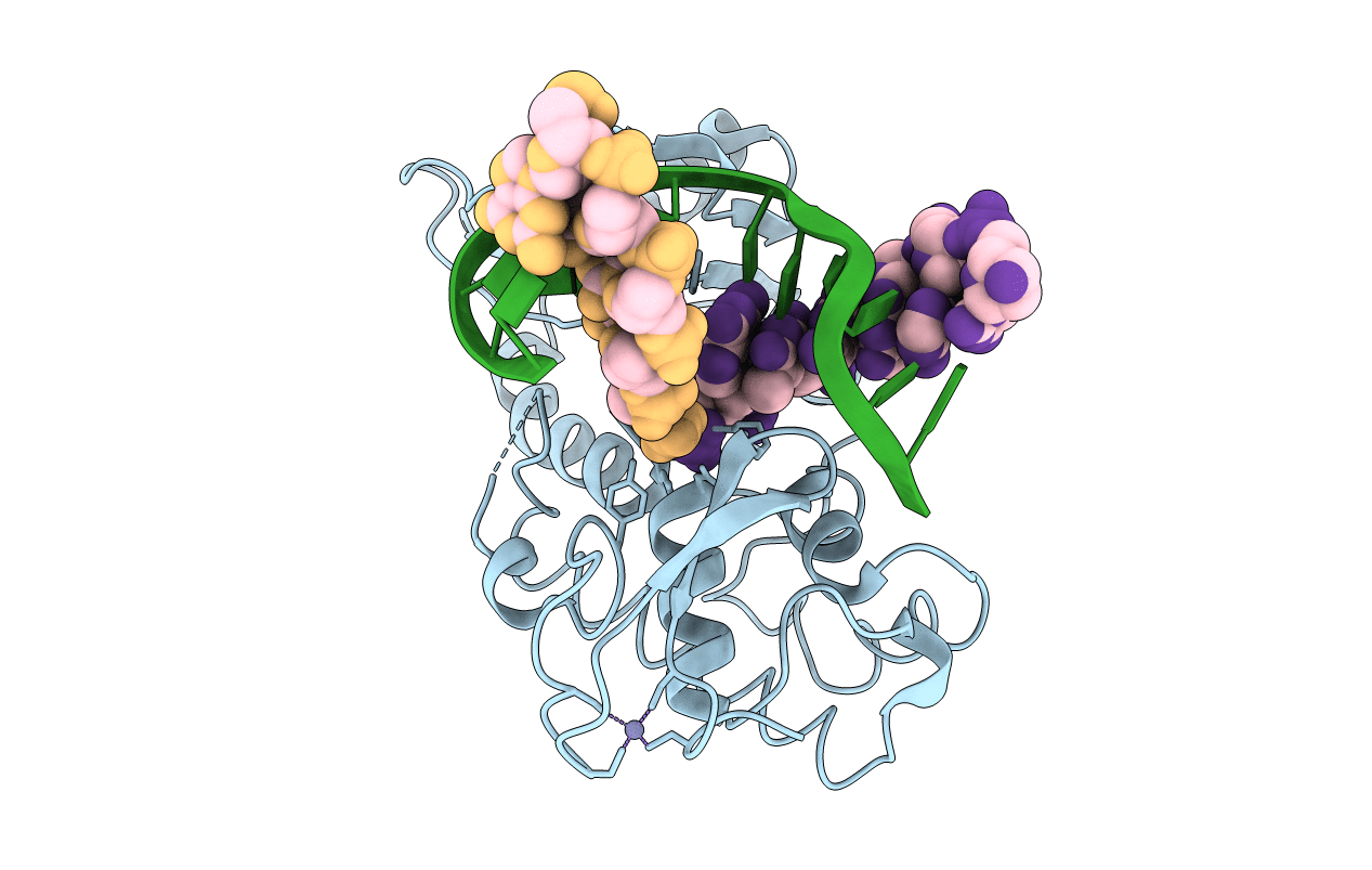 1L2B image
