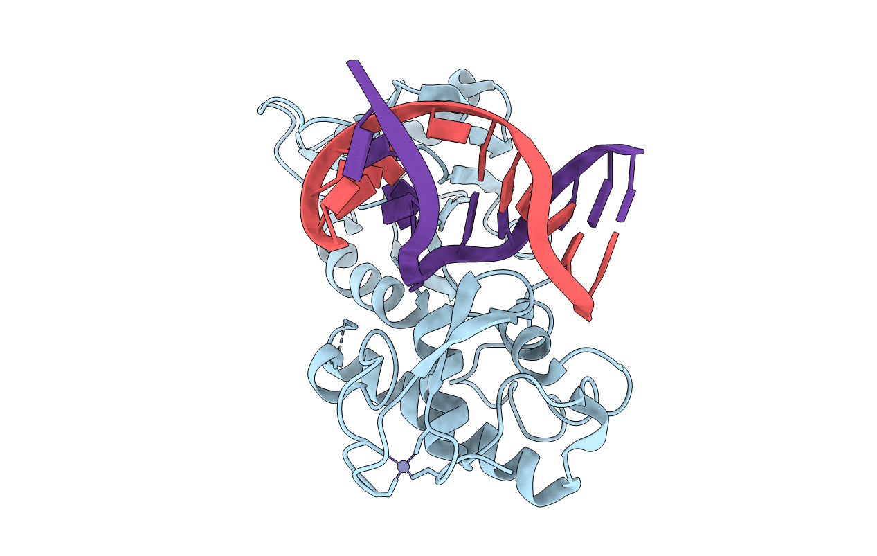 1L2D image