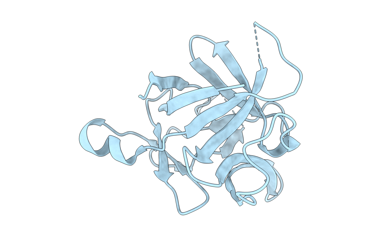 1L2H image