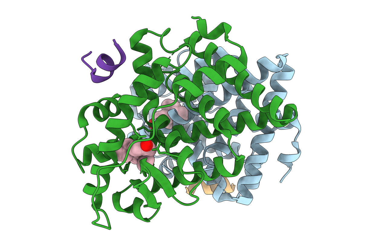 1L2I image