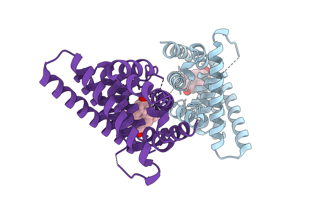 1L2J image