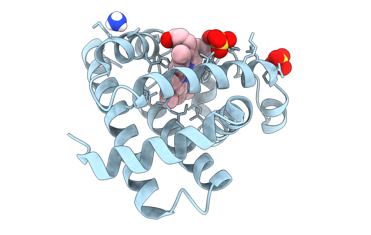 1L2K image