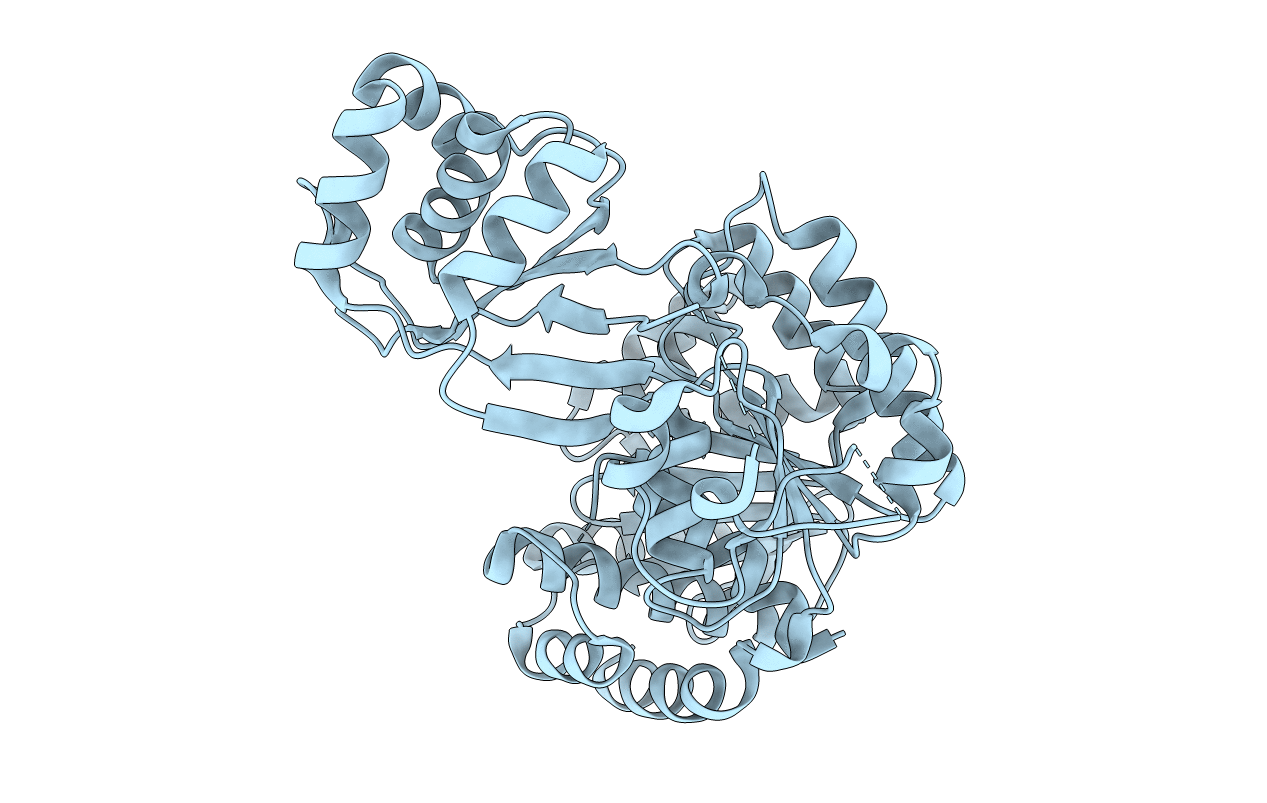 1L2L image