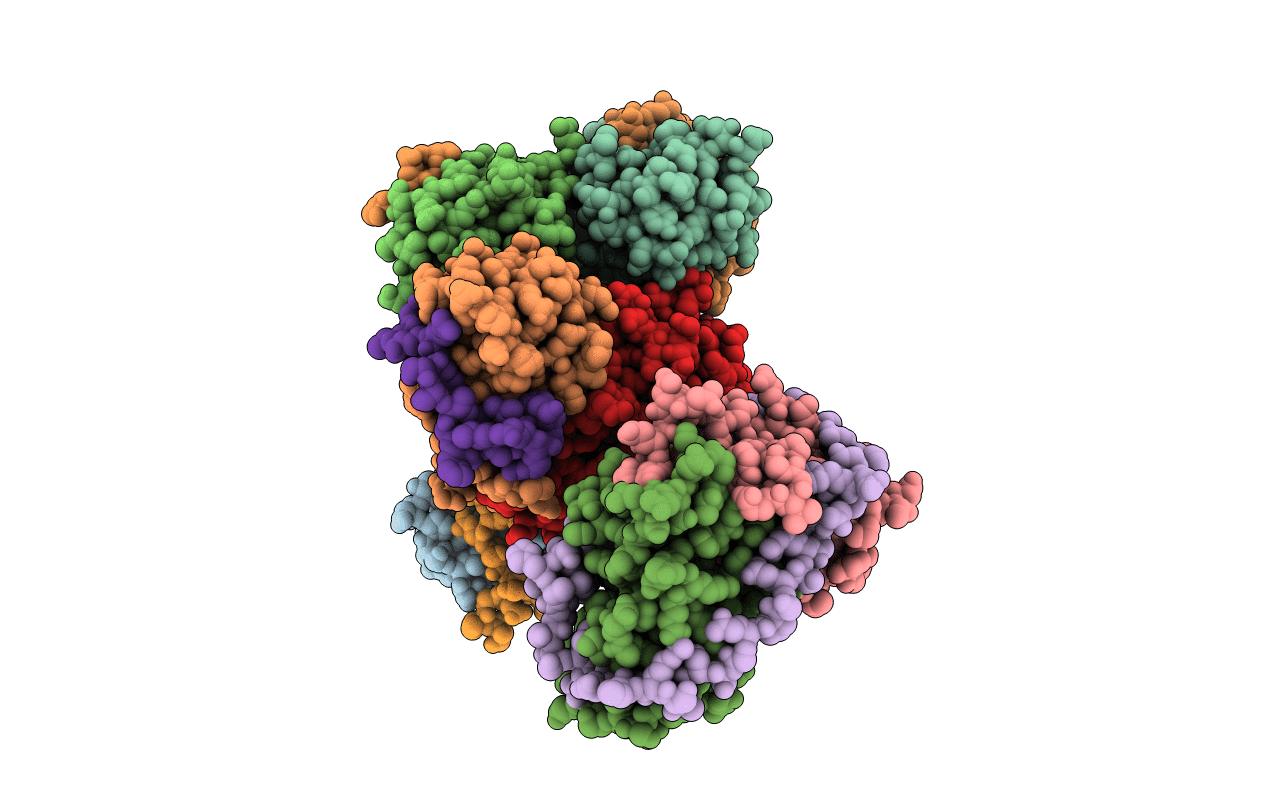 1l2w image