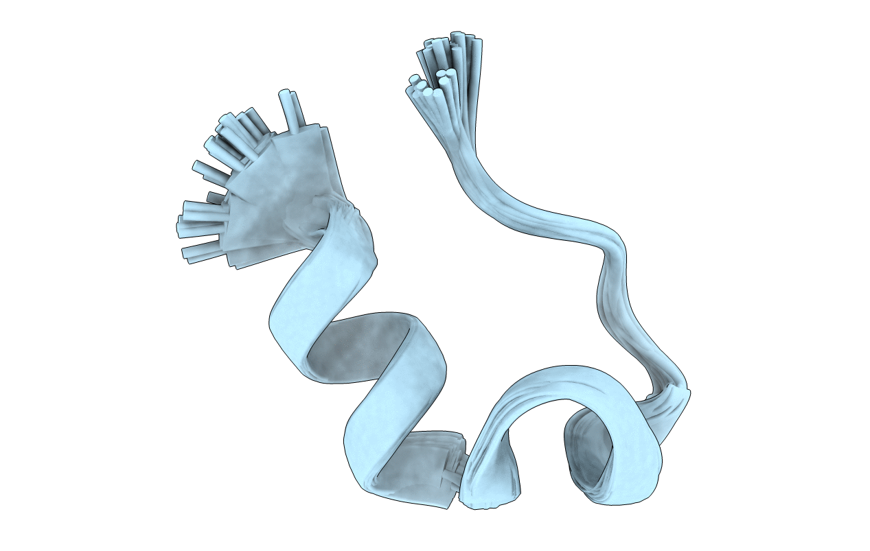 1l2y image