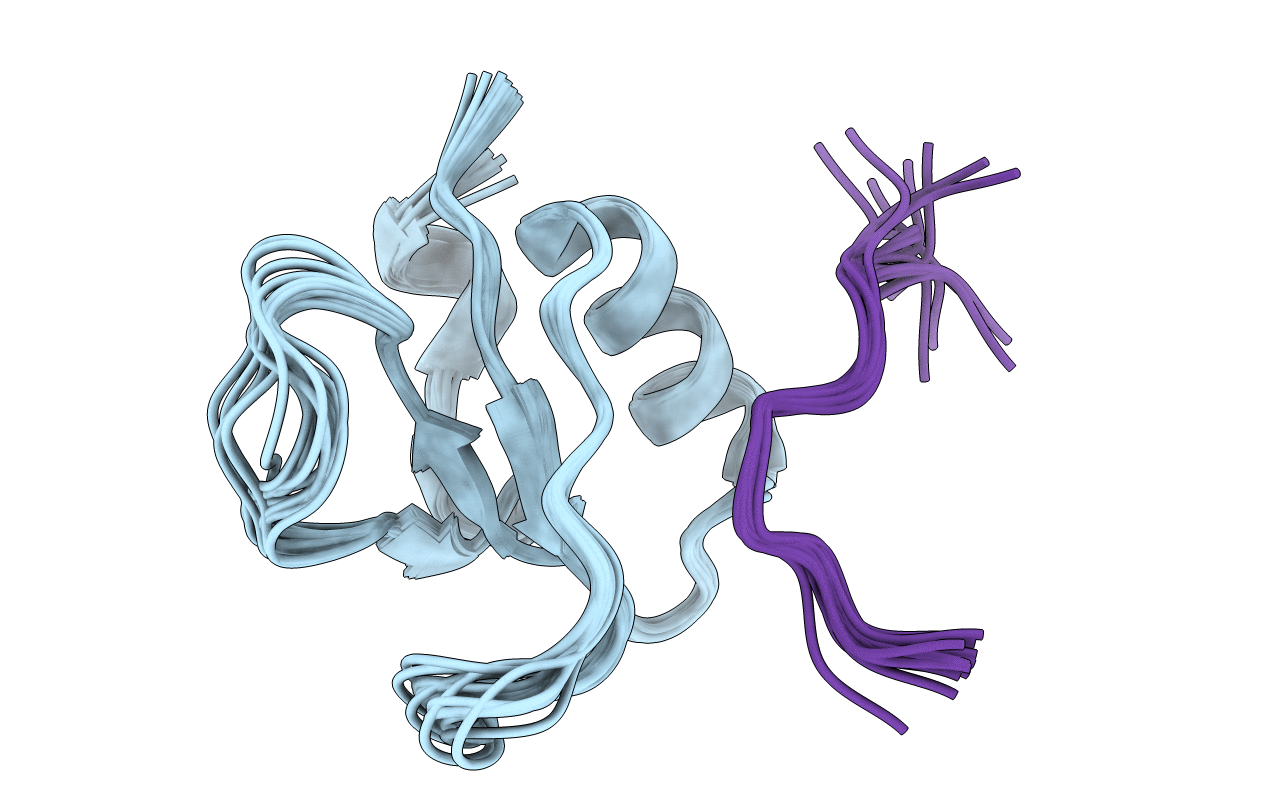 1L2Z image