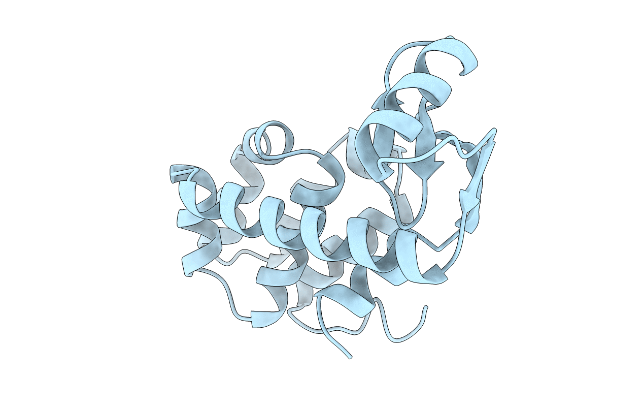 1L31 image
