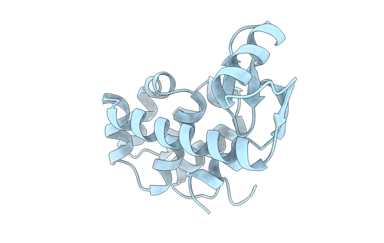 1L33 image