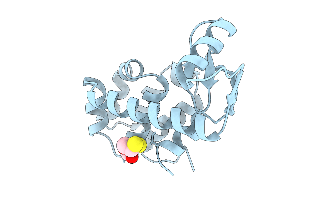1L36 image
