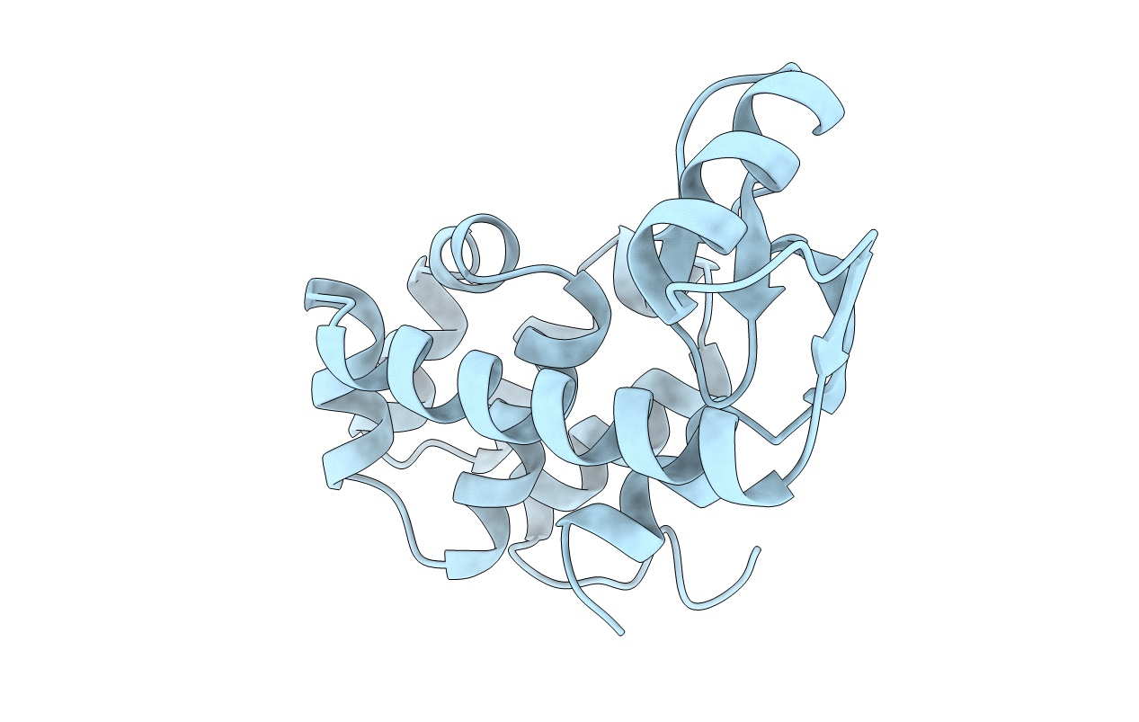 1L38 image