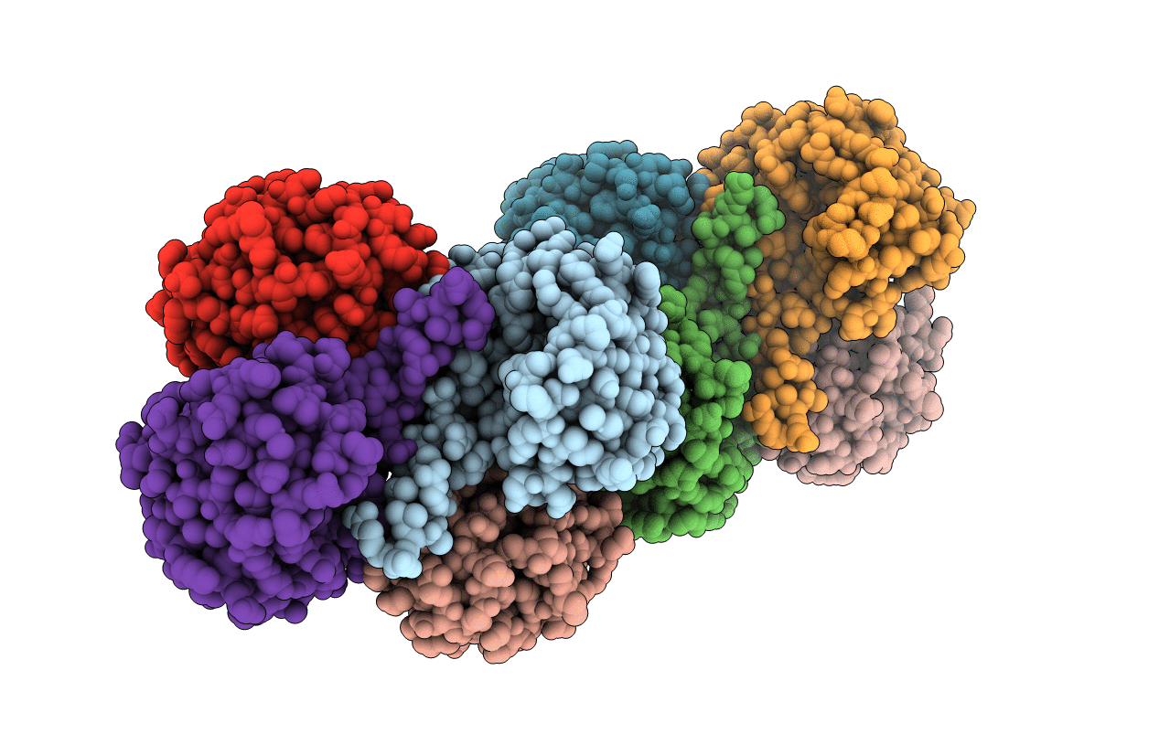 1l3b image