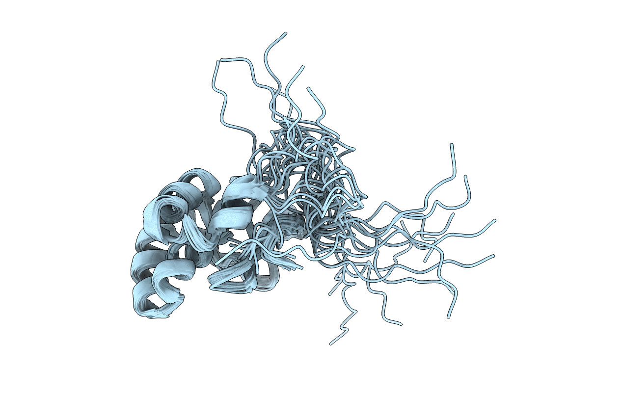 1L3G image