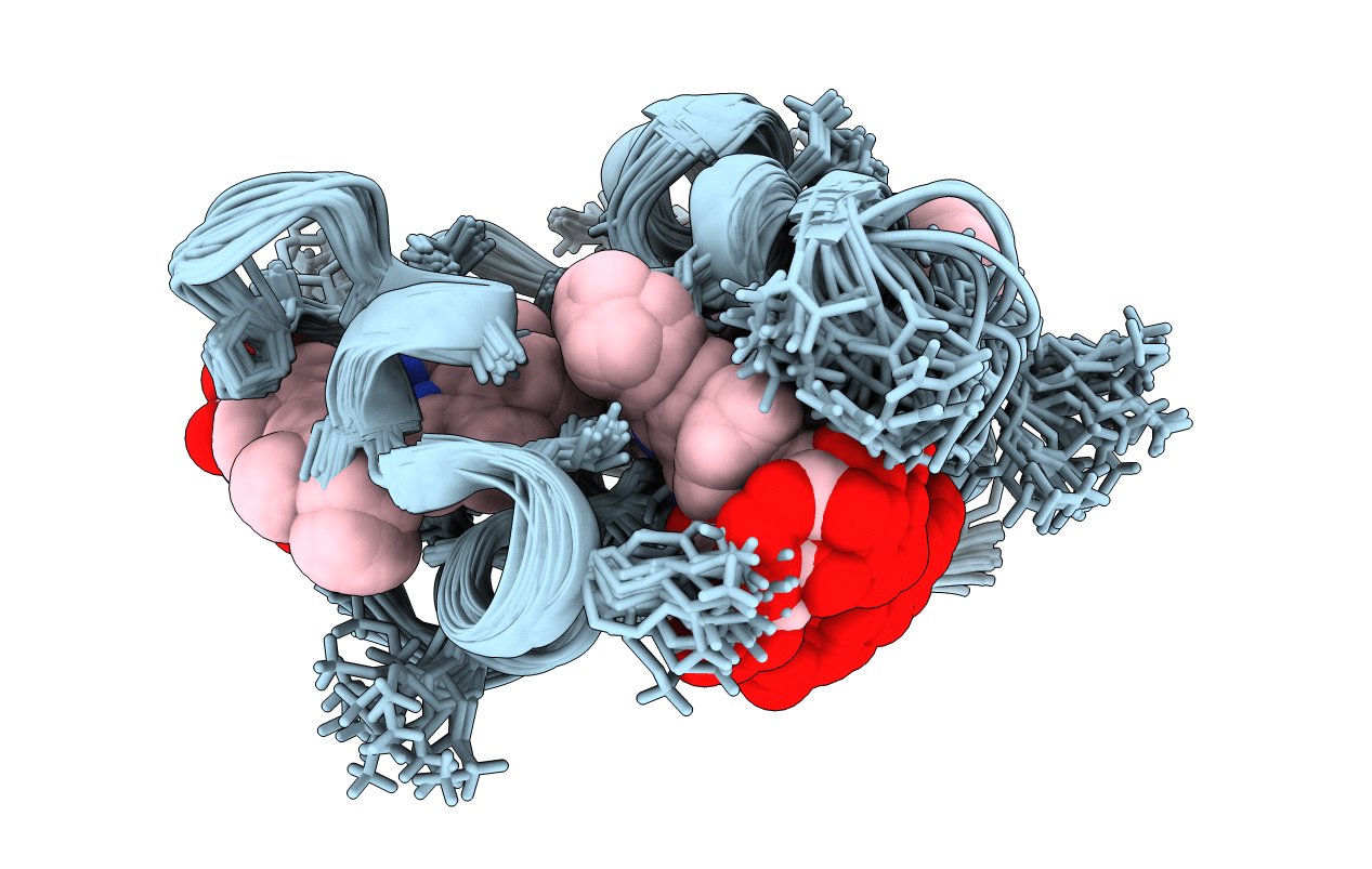 1L3O image