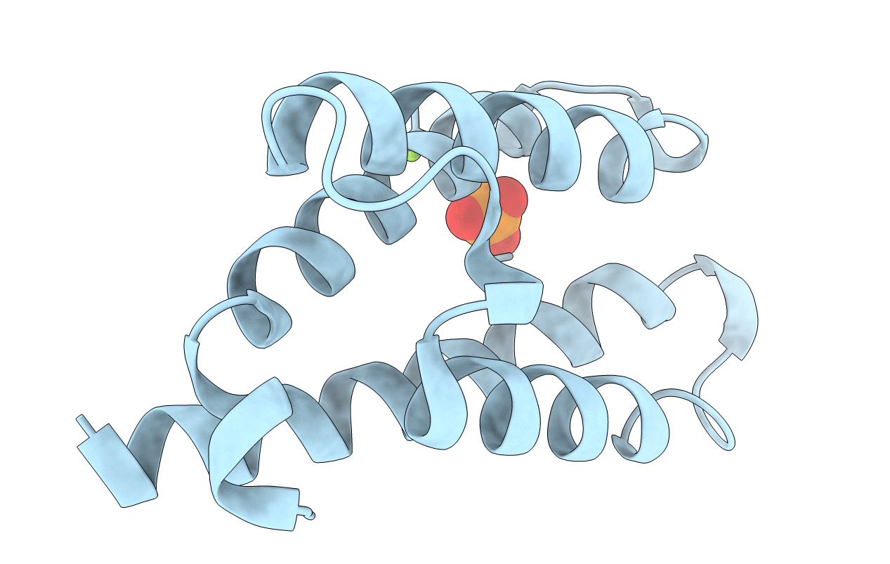 1L3P image