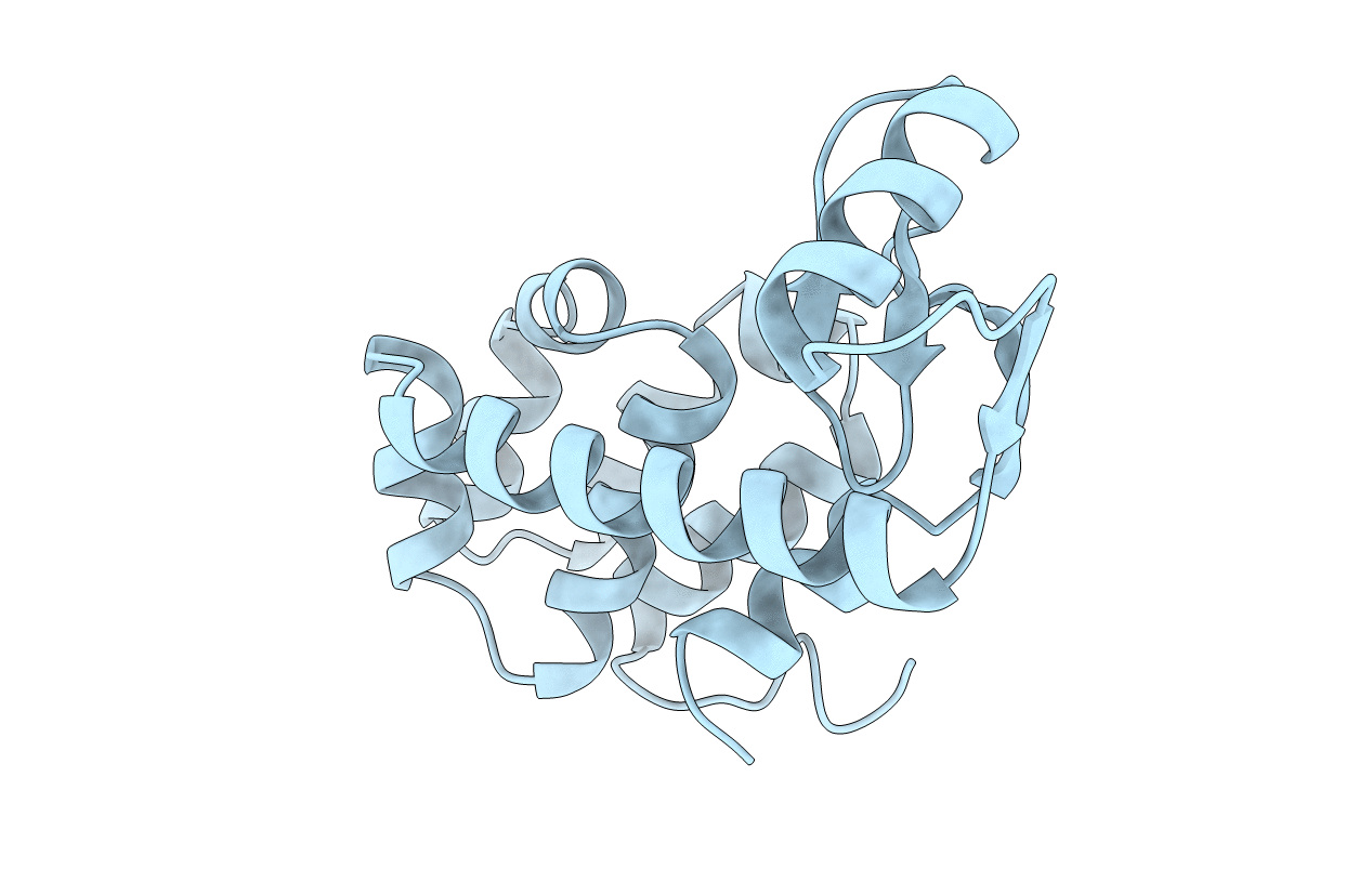 1L43 image