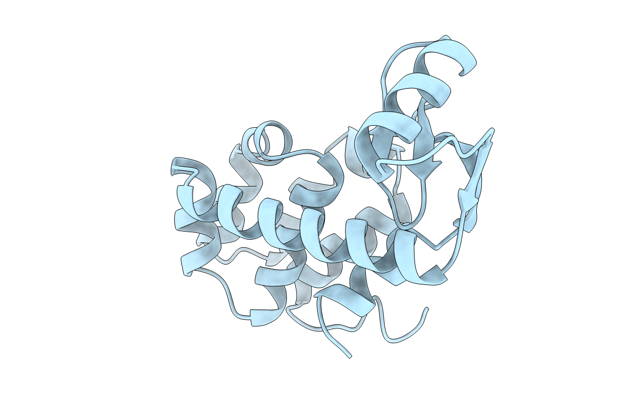 1L45 image
