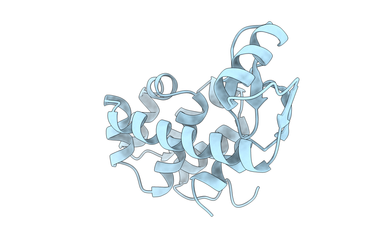 1L46 image