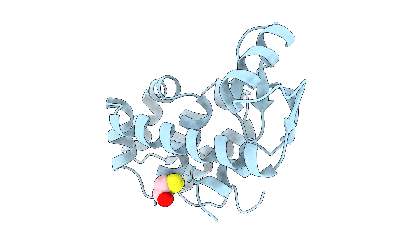 1L48 image