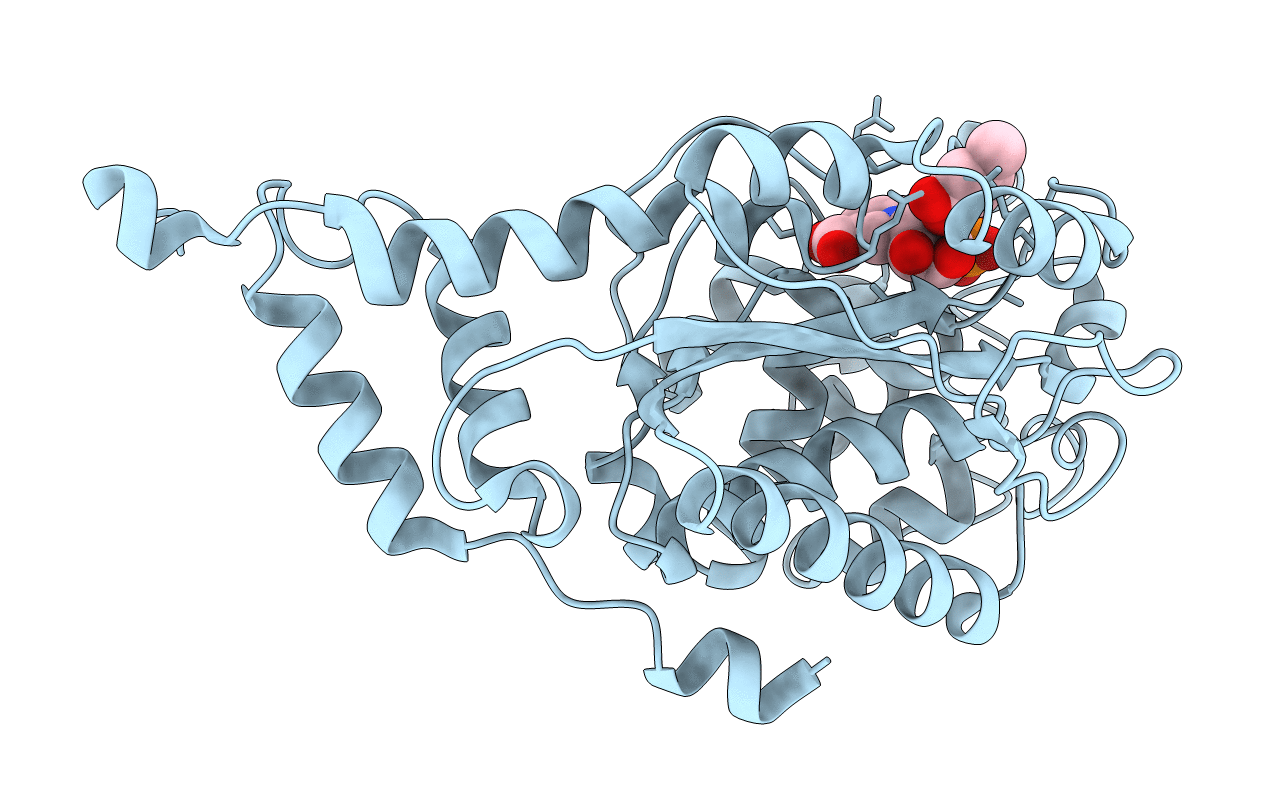 1L4G image