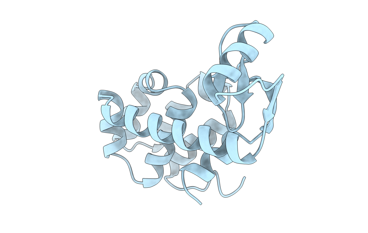 1L51 image