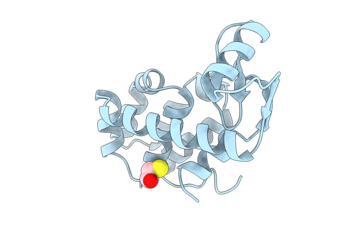 1L53 image