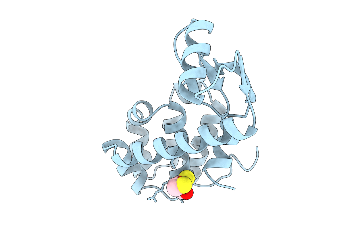1L56 image