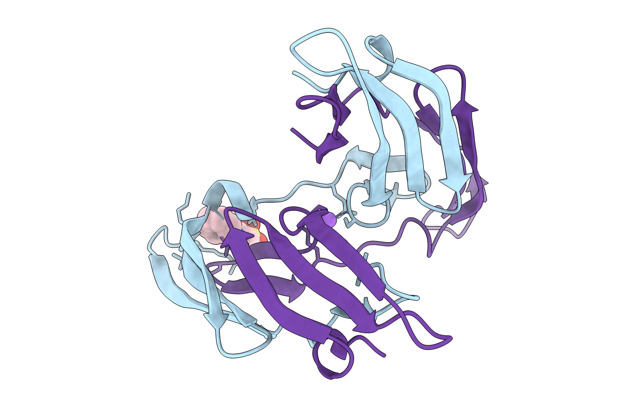 1L5B image