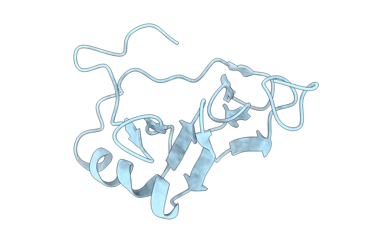 1L5D image